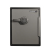 MASTER LOCK LFW205FYC trezor Ocel Černá, Šedá