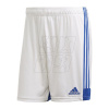 Trenky adidas Tastigo 19 Shorts M FI6355