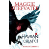 Havraní chlapci - Stiefvaterová Maggie