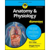 Anatomy & Physiology For Dummies, 3e