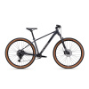 CTM RAMBLER 2.0 29