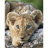 Michael Poliza, Baby Animals - Michael Poliza, teNeues