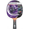 Raketa na stolný tenis Donic Top Team 800 (MTS754198)