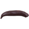 Berkley Gulp Floating Pinched Crawler 14ks 2,5cm Nightcrawler Berkley