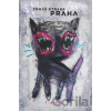 Praha