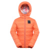 Alpine Pro Douwo fresh salmon
