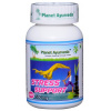 Planet Ayurveda STRESS SUPPORT 60 kapsúl – na upokojenie a dodanie energie