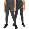 Detské nohavice Nike Dri-Fit Enfant Grey DX5490 061 L