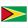 Magnetka vlajka Guyana