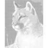 ZUTY Bodkovanie - PUMA Rámovanie: vypnuté plátno na rám, Rozmer: 80x100 cm