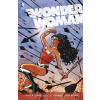 Wonder Woman: Krev - Brian Azzarello