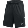 Nike Pánské kraťasy Dri-Fit Academy 25 černé FZ9776 010 S