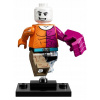 LEGO Minifigúrky DC Super Hero 71026-15 Metamorpho