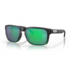Brýle OAKLEY Holbrook - Jade Fade w Prizm Jade, OO9102-E455