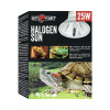 Repti Planet Halogen Sun 25 W
