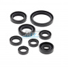 Gufera sada (simerinky celý motor) Yamaha YZF450 / 06-13 + WRF450 / 04-15 + YFZ450R / 09-18 + YFZ450X (8 ks) Vertex