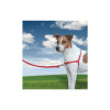 PetSafe Easy Walk Harness