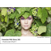 FOMEI A5 (14,8 x 21cm)/250 FomeiJet PRO Gloss 265, priem. balenie (EY4207)