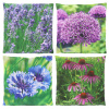 Polštář OUTDOOR Purple, 49x49cm, (balení obsahuje 4 kusy!)|Esschert Design