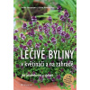 Léčivé byliny v květináči a na zahradě