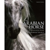 The Arabian Horse