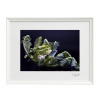 Atelier - Petr Vydra Umelecká fotografia - Karfiol (biely rám), Velikost a varianta fotografií Černý rám 30 x 40 cm ( pasparta 21x 30 cm )