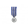 Vyznamenání - Air Force Achievement Medal • Mini