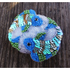 Handmade šitá korálková brošňa pre znamenie zverokruhu - ryby (Handmade šitá brošňa z korálok pre znamenie zverokruhu ryby)