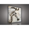 Obraz na plátne štvorec - OB2032 - Kone 80cm x 80cm - O2