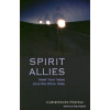 Spirit Allies