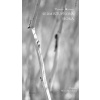 Sedmistupňová hora - Thomas Merton