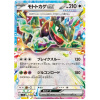 Pokémon TCG Cyclizar ex