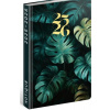 NOTIQUE 18-mesačný diár Petito – Monstera 2025/2026, 11 x 17 cm