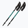 Trekingové palice Fizan Compact 4 water green