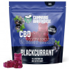 Cannabis Bakehouse CBD Gummi Bears - Čierne ríbezle, 22 ks x 4 mg CBD, 30 g