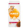 IAMS-Dry krmivo Vitality pre staršie psy veľkých plemien, s kuracím mäsom 12kg