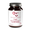 Beggs Iron bisglycinate 20 mg, rosehip extract (100 kapsúl)