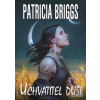 Mercy Thompson 13 - Uchv… (Patricia Briggs)