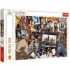 Harry Potter: Pamiatky z Hogwarts 500ks puzzle - Trefl