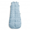 ERGOPOUCH Vak na spanie organická bavlna Jersey Dragonflies 8-24 m, 8-14 kg, 2,5 tog ZEPJB-2.5T08-24MDF23