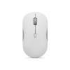 Lenovo 350 Bluetooth Silent Mouse (Cloud Grey)