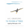 Meaning of Things