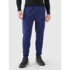 Pánske rýchloschnúce tréningové nohavice 4F 4FWSS25TFTRM0836-30S 3XL