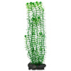 Tetra Egeria densa (Anacharis ) 30 cm L