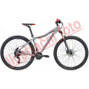 Maxbike TAAL LADY gray (akcia)