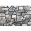 MIX DAVOS obklad na stenu WILD STONE