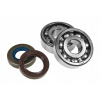 Tesnenia motora Athena P4E0010444001