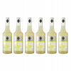 6 x barmanský sirup RIOBA na nápoje CITRÓN 0,7 l