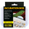 Exo Terra Inkubačný box - 1 ks