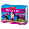 Terezia Company Klouby fit 60 kapsúl